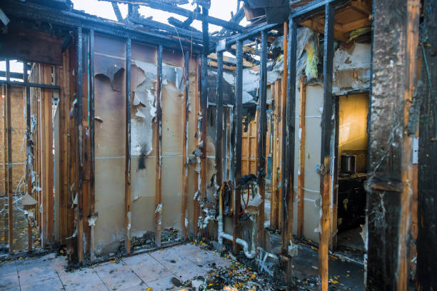 Professional Fire Damage Repair technician working in Colmar Manor, MD